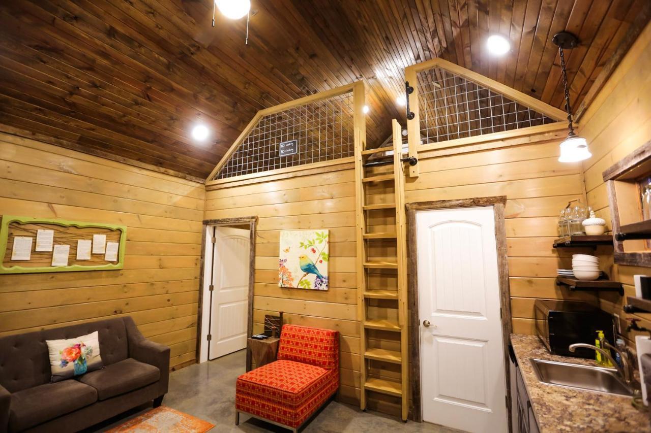 מאונטיין ויו Knotty Squirrel Cabins מראה חיצוני תמונה
