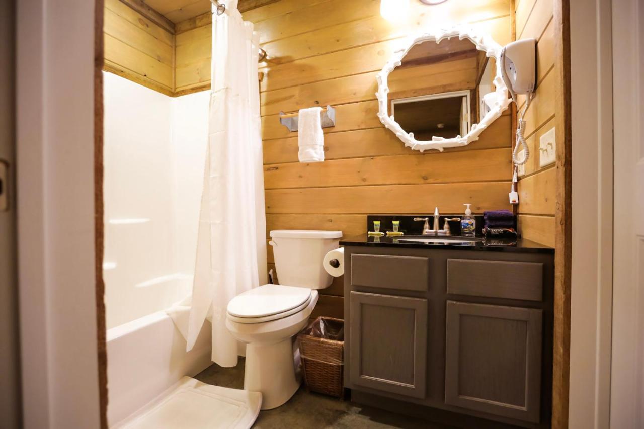 מאונטיין ויו Knotty Squirrel Cabins מראה חיצוני תמונה