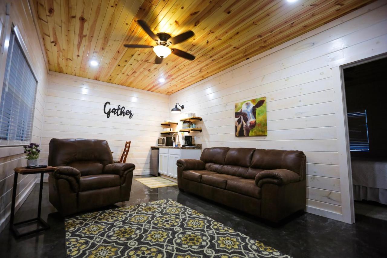 מאונטיין ויו Knotty Squirrel Cabins מראה חיצוני תמונה