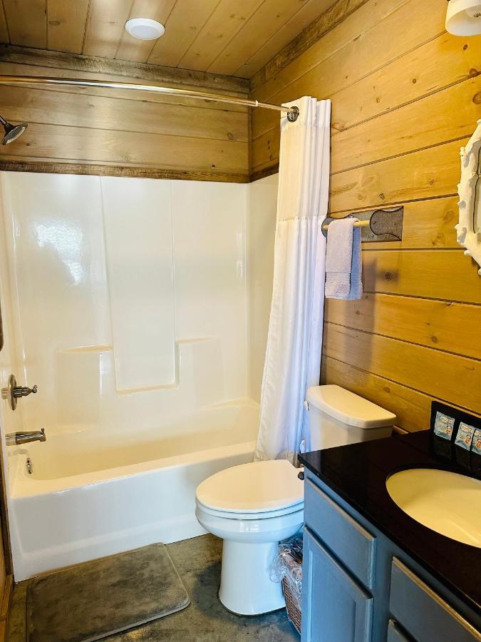 מאונטיין ויו Knotty Squirrel Cabins מראה חיצוני תמונה