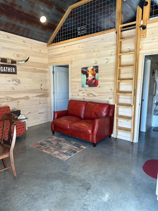 מאונטיין ויו Knotty Squirrel Cabins מראה חיצוני תמונה