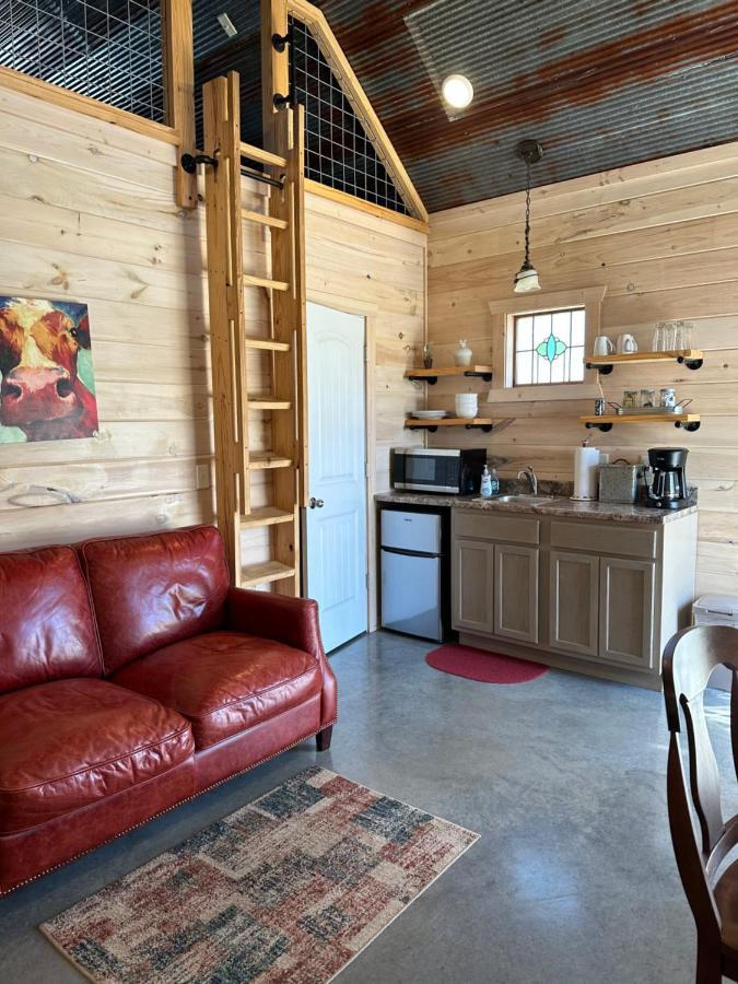מאונטיין ויו Knotty Squirrel Cabins מראה חיצוני תמונה